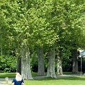 SDIM2807