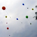 Picasa 3.0