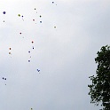 Picasa 3.0