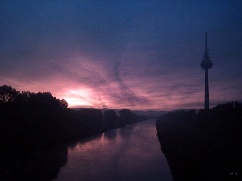 mannheim 0081