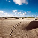 amrum 0033