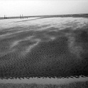 amrum 0043