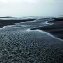 amrum 0044