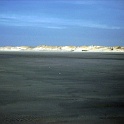 amrum 0077