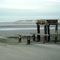 amrum 0087