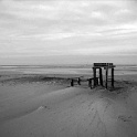 amrum 0088