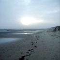 amrum 0098
