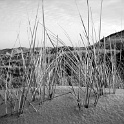 amrum 0118