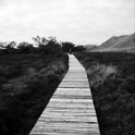 amrum 0154