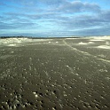 amrum 0172