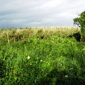 ostsee 0127