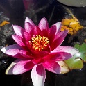 20140505 144243