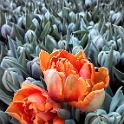 20140505 155140