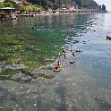 20140508 153648 HDR