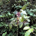 20140509 142949