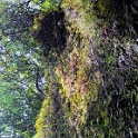 20140509 152816 HDR