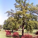 IMG 20140505 143029
