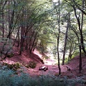 IMG 20140824 133443
