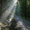 wald 1146