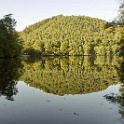 wald 1151
