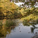 wald 1157