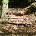 wald 1162