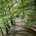 wald 1169