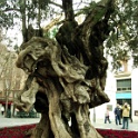 mallorca 0024