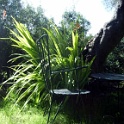 mallorca 0049