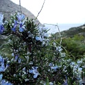 mallorca 0090