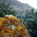 mallorca 0099