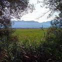 IMG 20130922 121119 1
