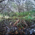 IMG 20130922 121712