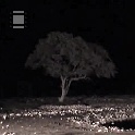 04 Wasserloch nacht  Das Wasserloch bei Nacht 2