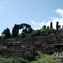 IMG 0144
