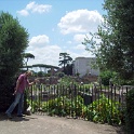 IMG 0145
