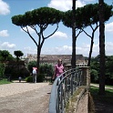 IMG 0147