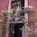 IMG 0172