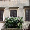 IMG 0182
