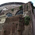 IMG 0213