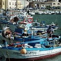 IMG 0227