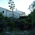 IMG 0232