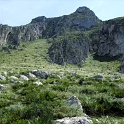 IMG 0237