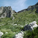 IMG 0239