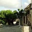 IMG 0247