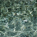 IMG 0260