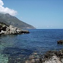 IMG 0265
