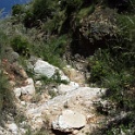 IMG 0278