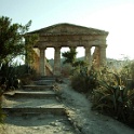 IMG 0324