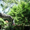 IMG 0352